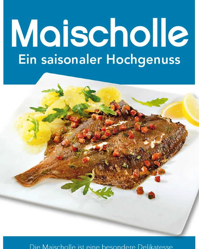 Maischolle 2025 Maischolle 2025